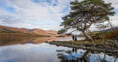 Internationally renowned geological site 'seriously damaged' as 3 men investigated