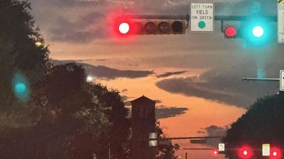 Stunning optical illusion photo will make you question everything