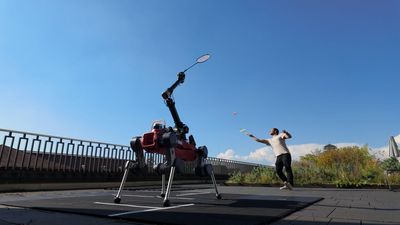 Scientists taught an AI-powered 'robot dog' how to play badminton against humans — and it's actually really good