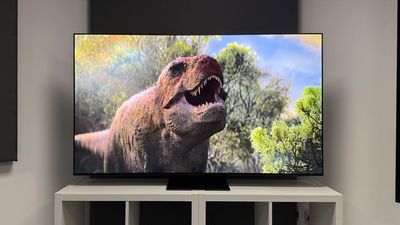Samsung S95F (QE65S95F)
