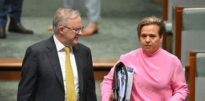 Yes, freedom of information laws need updating, but not like the government is proposing