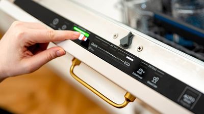 Hygiene experts warns of the dangers of using the ‘eco’ cycle on your dishwasher