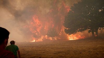 Climate change fuelled wildfires of 'unprecedented intensity' in Spain and Portugal, experts say