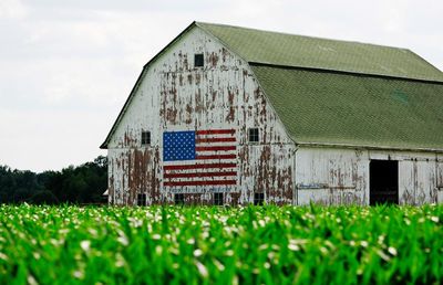 Buckeye by Patrick Ryan review – behind the American dream