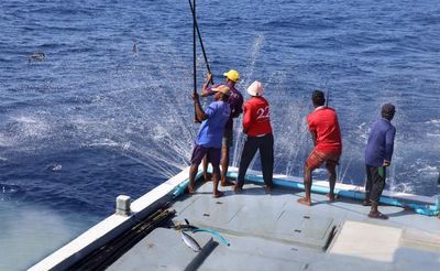 Just a pole and line, like they fished as boys: how a Maldives tradition is ensuring tuna stocks thrive