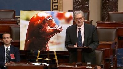 ‘This is what you can end up looking like’: ‘Alien’ appears in Congress in truly bizarre Kennedy speech