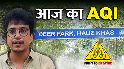 September 4, 2025: Deer Park’s rare treat after heavy rainfall