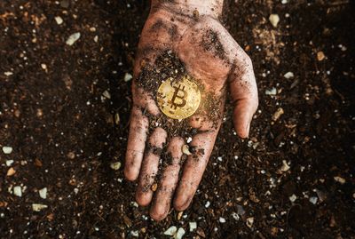 Here’s Why Bitcoin Can Act Like ‘Digital Gold’ in Your Portfolio, Says Investing Expert