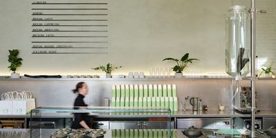 How Matcha Is Rewriting the Rules of Cafe Design — And Why the Future of Coffee Culture Lies in Spaces That Make Us Feel "Present"