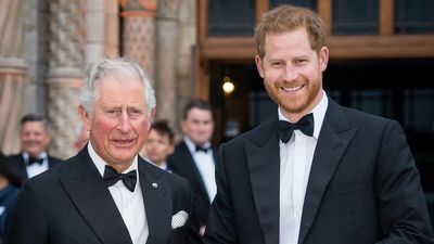 ‘That must be really sad for him’: King Charles might see Prince Harry for one emotional reason