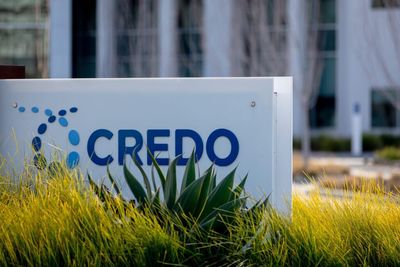 Credo Stock Is Trading Higher Thursday: What's Going On?