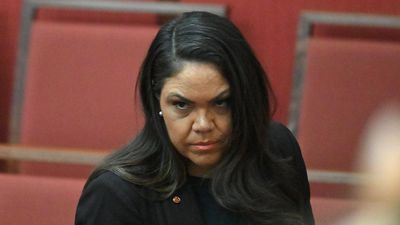 'Taken a dig': senator slammed for migration vote claim