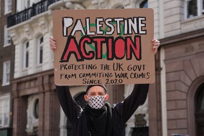 Government to challenge decision to allow legal action over Palestine Action ban