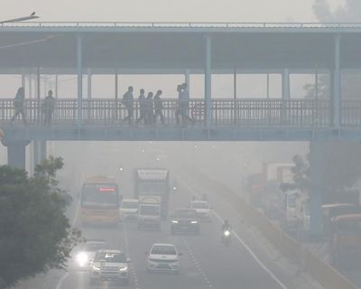 Air pollution can drive devastating forms of dementia, research suggests