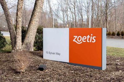 Is Zoetis Stock Underperforming the Nasdaq?