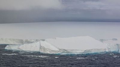 40-year-old 'queen of icebergs' A23a is no longer world's biggest after losing several 'very large chunks' since May