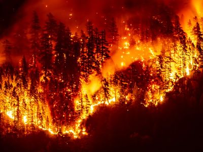 Wildfires Producing 'Witches' Brew' Of Air Pollution: UN