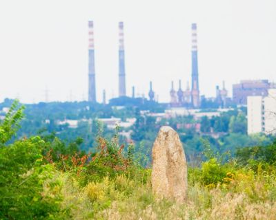 Nature has a remarkable way of recovering from human catastrophe