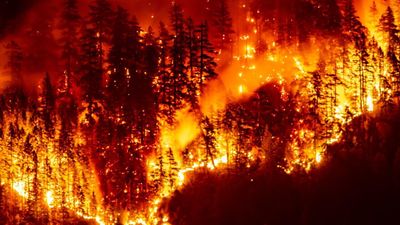 Wildfires producing 'witches' brew' of air pollution, UN warns