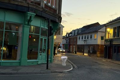 Voices: If a dream can explain the toilet, what does it say about me?