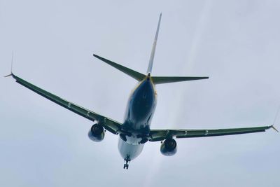 Ryanair tells delayed passengers to email minister