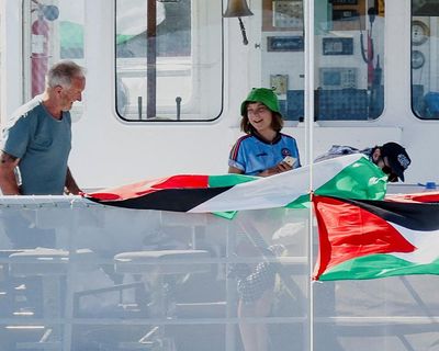 ‘Standing up for Palestinians’: why Greta Thunberg wears a Bohemian FC shirt