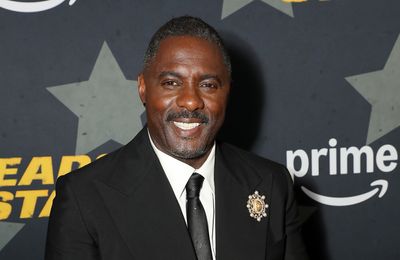Idris Elba doesn't 'have the courage' to enter politics