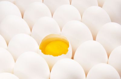 Why Do Store-Brand Eggs Taste Different in Certain States?