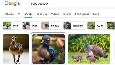 Google Images may soon become a problem for photographers (but you can fight back)