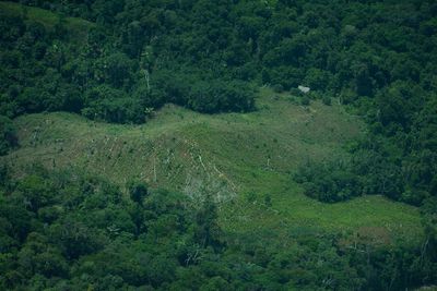 Peru rejects creation of Amazon reserve to protect uncontacted tribes, drawing Indigenous outcry