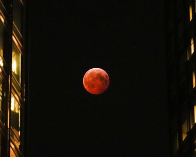 Rare total lunar eclipse ‘blood moon’ to be visible from UK