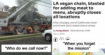 “You Had One Job”: 50 Times People Spotted Such Pathetic Fails, They Just Had To Document Them (New Pics)