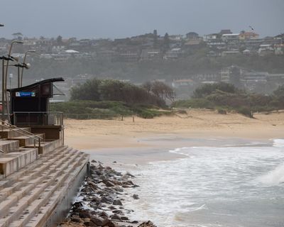 ‘A great tragedy’: man dies in shark attack near Dee Why on Sydney’s northern beaches