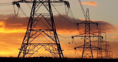 Locals call for public inquiry into Highland pylon proposals