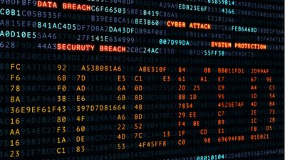 Researchers describe how they took down a P2P illegal streaming VOD site that had almost 25,000 movies and series for more than 130,000 users