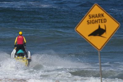 Shark kills beachgoer near Sydney