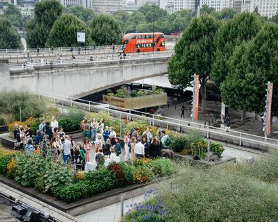 ‘A secret garden’: National Theatre turns roof into riot of colour with dye plants