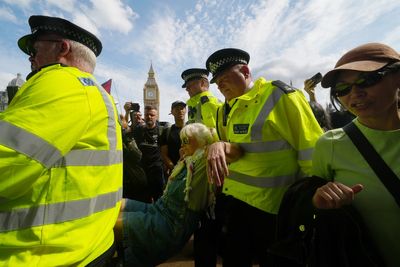 Tensions flare as protesters supporting banned Palestine Action arrested