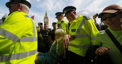Arrests at London protest in support of Palestine Action after 12 minutes