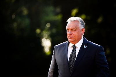 Hungary documentary reveals sobering similarities between Orbán and Trump