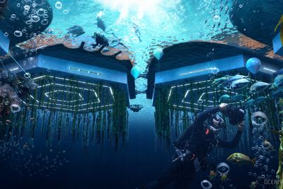 Seasteading is making a comeback — but these utopian paradises on the high seas have a history of failure