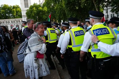 Palestine Action protest ‘peaceful’, organiser says as police claim abuse