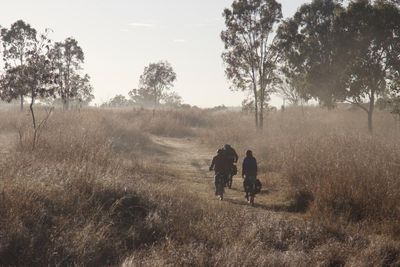 ‘Cycling tourism is the next big thing’: the long journey to restore a central Queensland rail trail