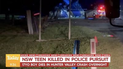 'Unnecessary tragedy': probe into deadly police chase