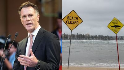 NSW Premier Chris Minns Pauses Shark Net Removal Trial After Fatal Attack In Dee Why