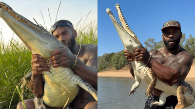 US Influencer Mike Holston Could Face A Hefty Fine For Handling Crocodiles In Qld