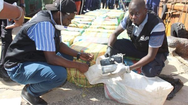 Balkan cartels use West Africa to push cocaine into Europe, report warns
