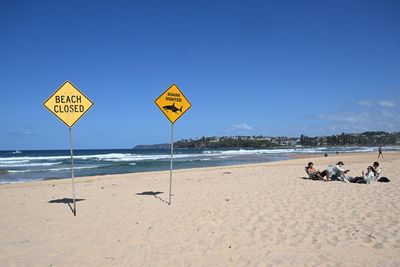 NSW is pausing its shark net reduction trial after fatal Long Reef beach attack. What’s the plan this summer?