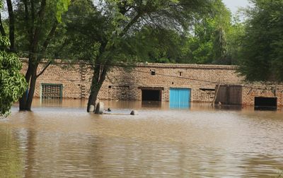 Millions displaced in severe Pakistan flooding as India impacted too