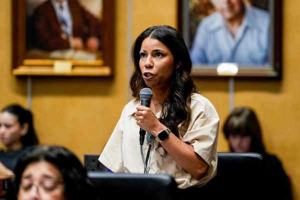 Arizona Republicans seek to expel lawmaker who reposted Ice raid information